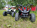 PROMAX SPORT - PRO 180 (2025)